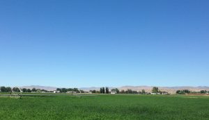 Farmland in Southeast Idaho.